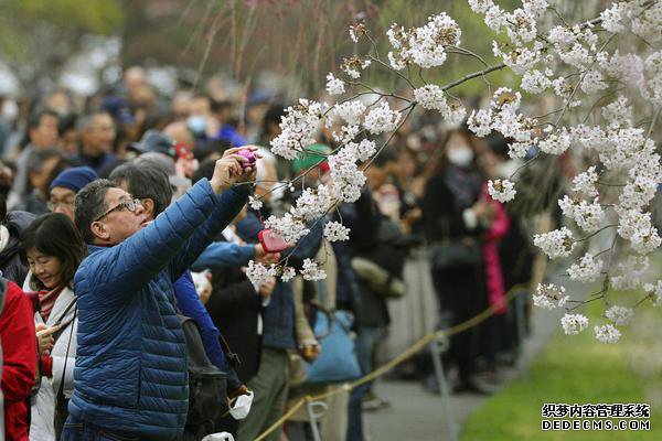 领取80901.90传奇游戏排行榜新1区媒体推荐礼