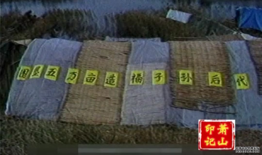 33年前的今天,15.4万萧山人“1.90火龙传奇斗地”完成了一件大事......