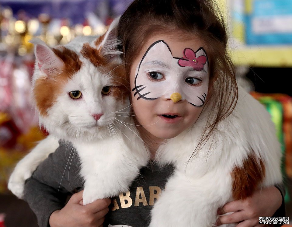 逗比战神Swifty:暴风城插旗 挑战者无数