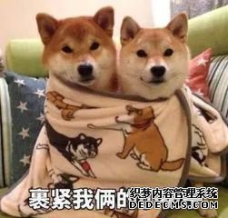ѩѩѩ·?